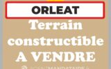 Terrain à vendre à Orléat — Vue nature — photo 3