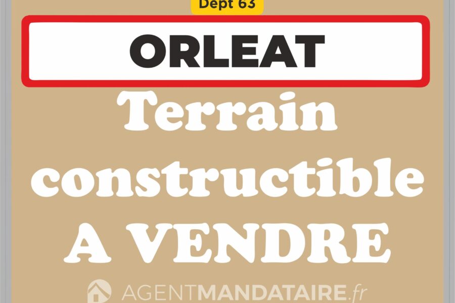 Terrain à vendre à Orléat — Vue nature — photo 3