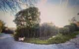 Terrain à vendre à Lorgues — Vue dégagée — photo 4