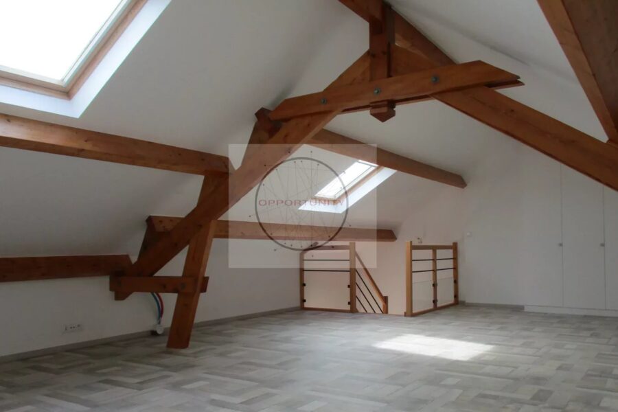 Maison à vendre à Chennevières-sur-marne — Vue parc — photo 20