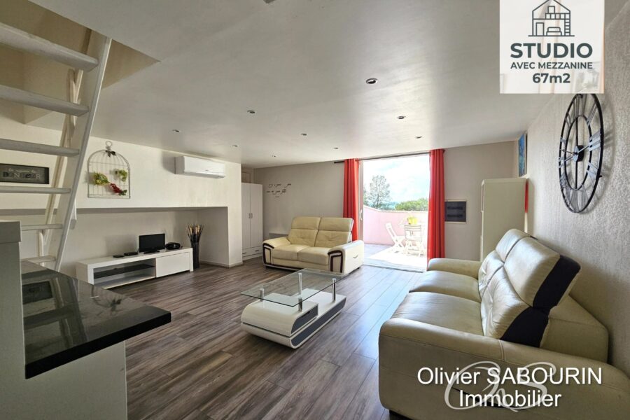 Maison à vendre à Roquebrune-sur-argens — Vue parc & jardin — photo 11