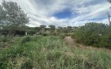 Terrain à vendre à Fréjus — Vue nature — photo 1