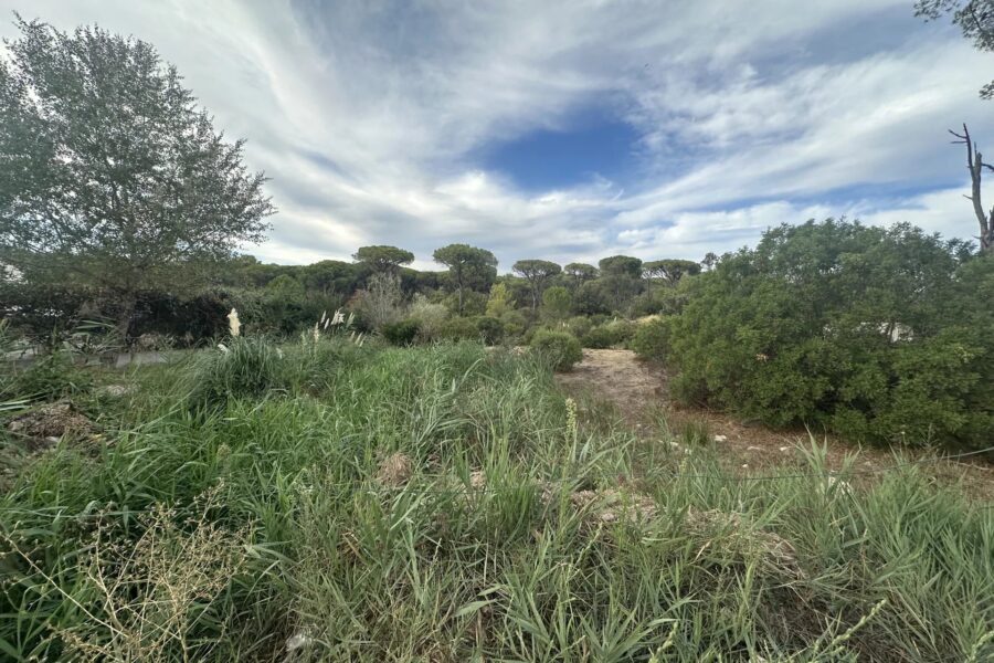 Terrain à vendre à Fréjus — Vue nature — photo 1