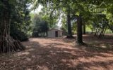 Terrain à vendre à Congis-sur-thérouanne — Vue parc & jardin — photo 4