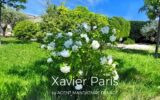 Maison à vendre à Cabrières-d&rsquo;aigues — Vue parc & jardin — photo 1