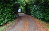 Terrain à vendre à Sixt sur aff — Vue nature — photo 4
