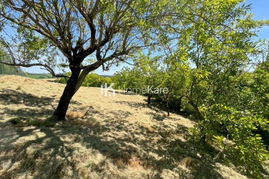 Terrain à vendre à Auzielle — Vue nature — photo 4