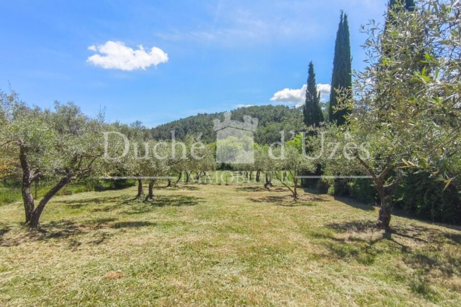 Maison à vendre à Uzes — Vue nature — photo 4