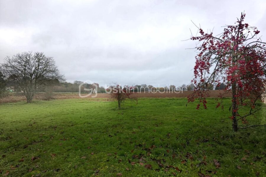 Terrain à vendre à Savigny sur clairis — Vue nature — photo 1