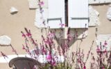 Maison à vendre à Lectoure — Vue nature — photo 5