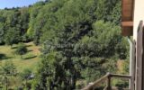 Maison à vendre à Freland — Vue nature — photo 1