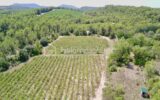 Terrain à vendre à Vacquieres — Vue nature — photo 1