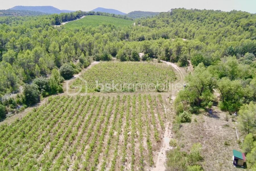 Terrain à vendre à Vacquieres — Vue nature — photo 1