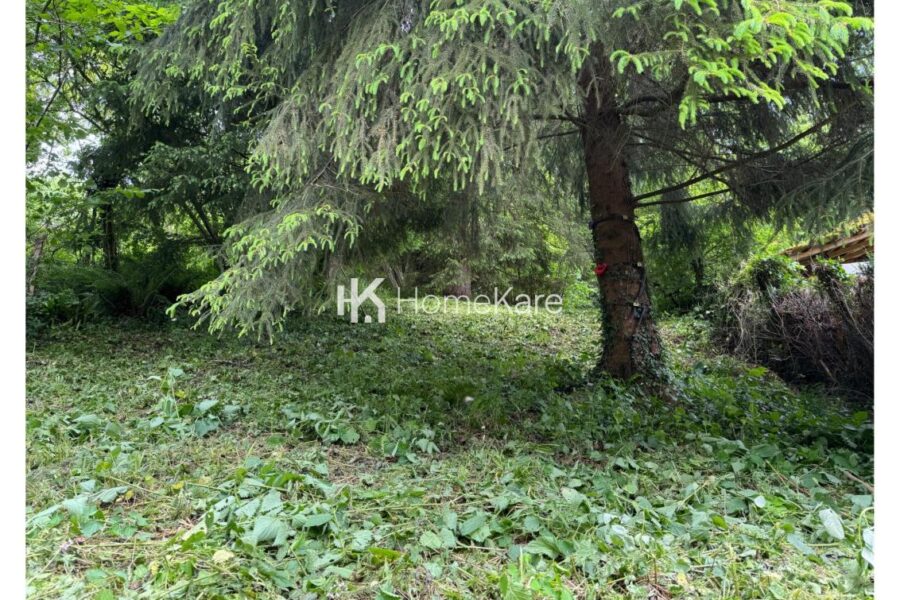 Maison à vendre à Mauleon barousse — Vue montagne — photo 4