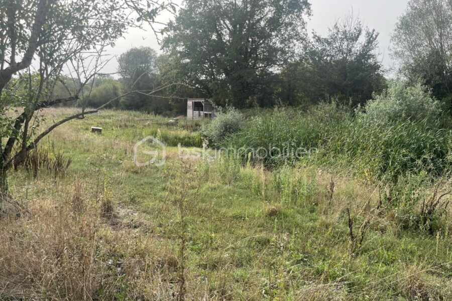 Terrain à vendre à Nueil les aubiers — Vue nature — photo 4