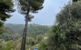 Maison à vendre à Colomars — Vue nature — photo 5