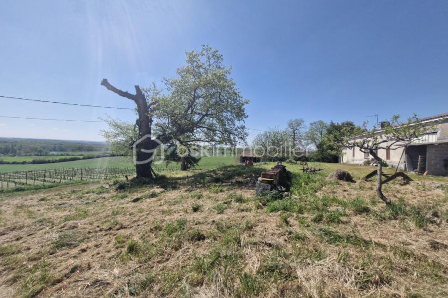 Maison à vendre à Soumensac — Vue nature — photo 5