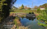 Terrain à vendre à Civray de touraine — Vue nature — photo 1