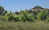 Maison à vendre à Saint pargoire — Vue nature — photo 1