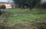 Terrain à vendre à Saint victurnien — Vue nature — photo 4