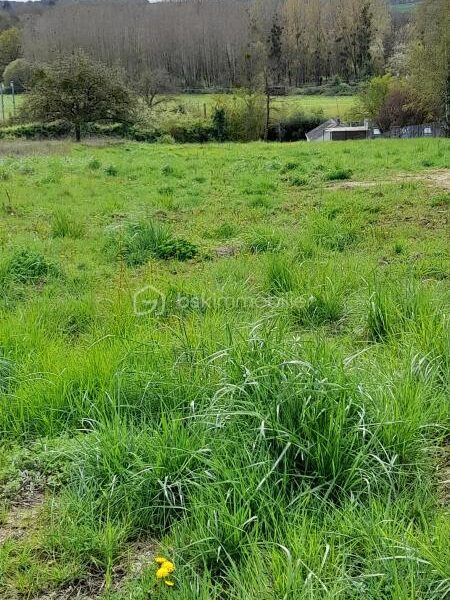 Terrain à vendre à Civray de touraine — Vue nature — photo 4