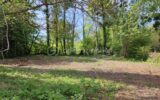 Terrain à vendre à Villeneuve l archeveque — Vue dégagée — photo 4