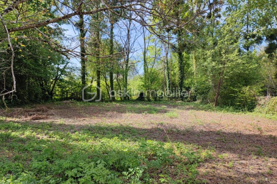 Terrain à vendre à Villeneuve l archeveque — Vue dégagée — photo 4