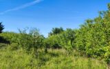 Terrain à vendre à Voisines — Vue nature — photo 4
