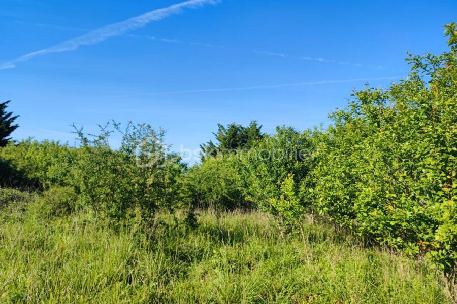Terrain à vendre à Voisines — Vue nature — photo 4