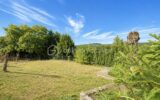 Terrain à vendre à Chatillon — Vue nature — photo 4