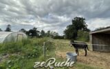 Maison à vendre à Cahagnes — Vue nature — photo 48