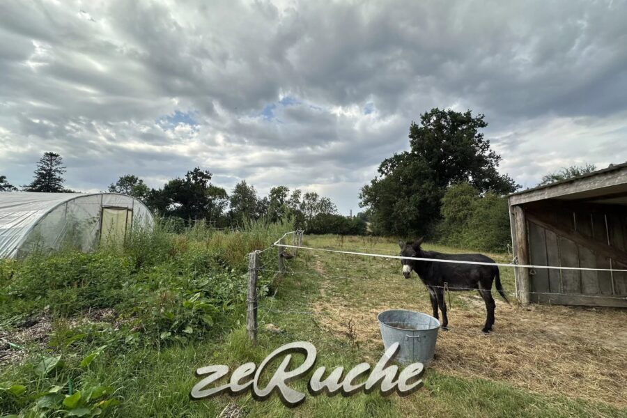 Maison à vendre à Cahagnes — Vue nature — photo 48