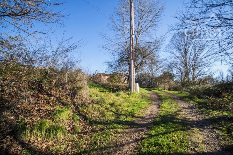 Terrain à vendre à Cordes-sur-ciel — Vue nature — photo 4