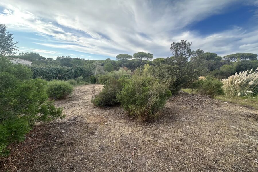 Terrain à vendre à Fréjus — Vue nature — photo 3