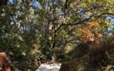 Maison à vendre à Cabrières-d&rsquo;aigues — Vue nature — photo 11
