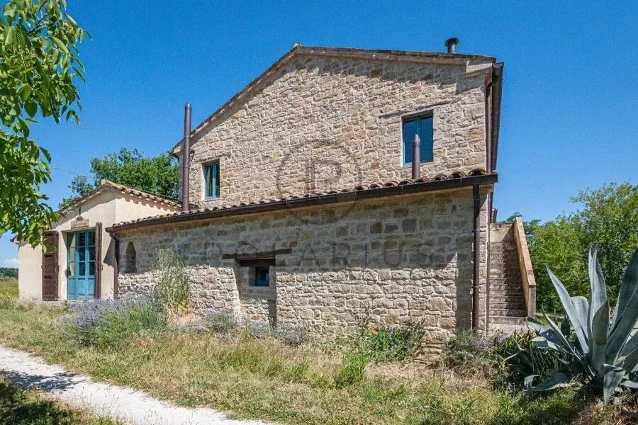 Maison à vendre à Serra san quirico — Vue nature — photo 19