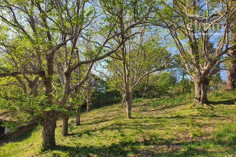 Terrain à vendre à Mouguerre — Vue nature — photo 7