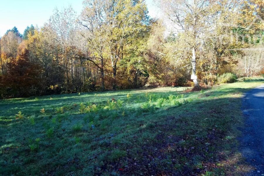 Terrain à vendre à Royère-de-vassivière — Vue nature — photo 1
