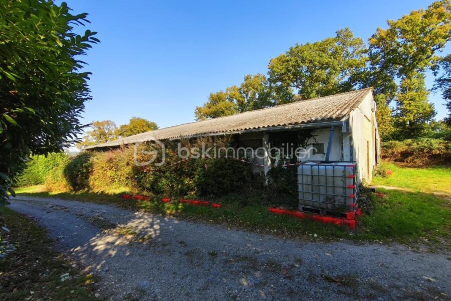 Terrain à vendre à Sixt sur aff — Vue nature — photo 5