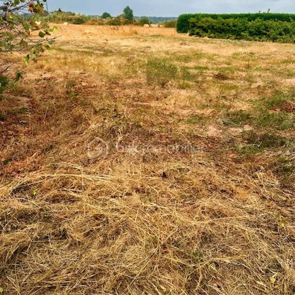 Terrain à vendre à Bois de la pierre — Vue dégagée — photo 5
