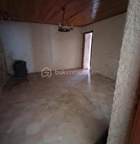 Maison à vendre à La bastide de serou — Vue dégagée — photo 6