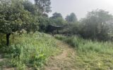 Terrain à vendre à Nueil les aubiers — Vue nature — photo 5