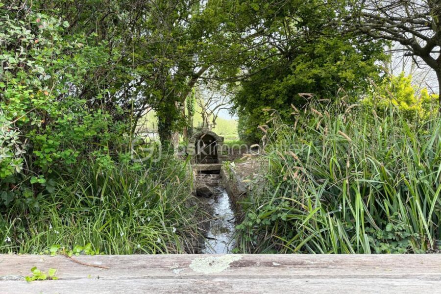 Maison à vendre à Ploudalmezeau — Vue mer — photo 5