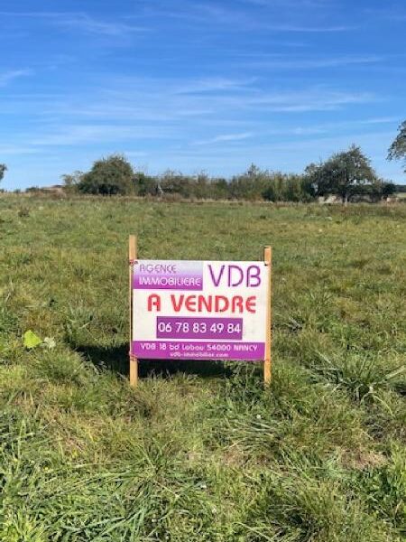 Terrain à vendre à Jallaucourt — Vue dégagée — photo 5