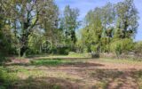 Terrain à vendre à Villeneuve l archeveque — Vue dégagée — photo 5