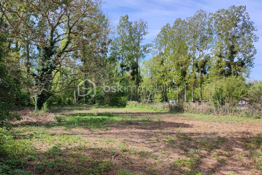 Terrain à vendre à Villeneuve l archeveque — Vue dégagée — photo 5
