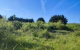 Terrain à vendre à Voisines — Vue nature — photo 5