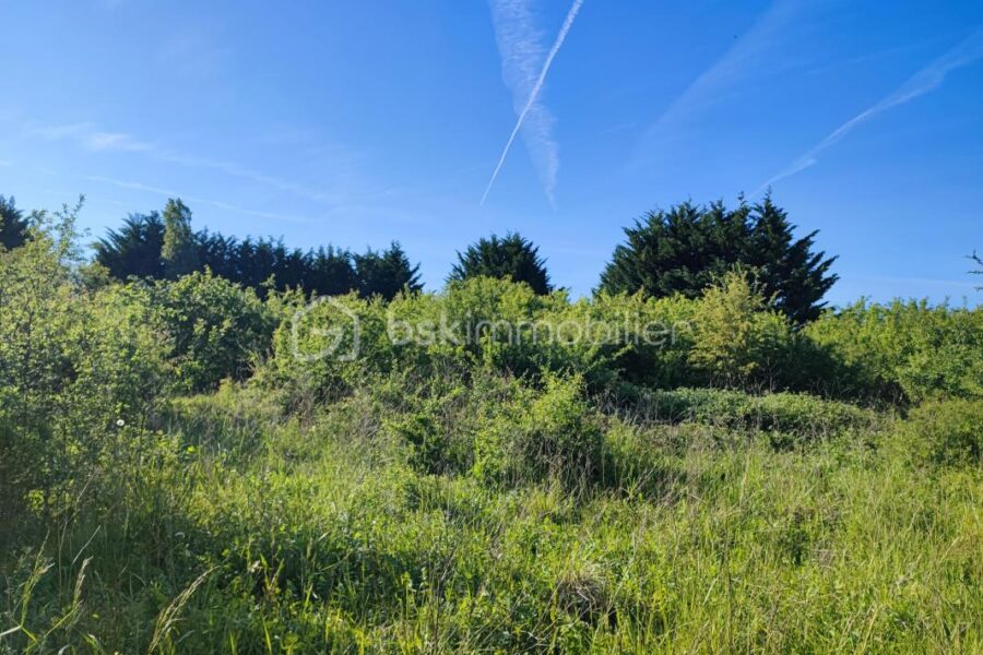 Terrain à vendre à Voisines — Vue nature — photo 5