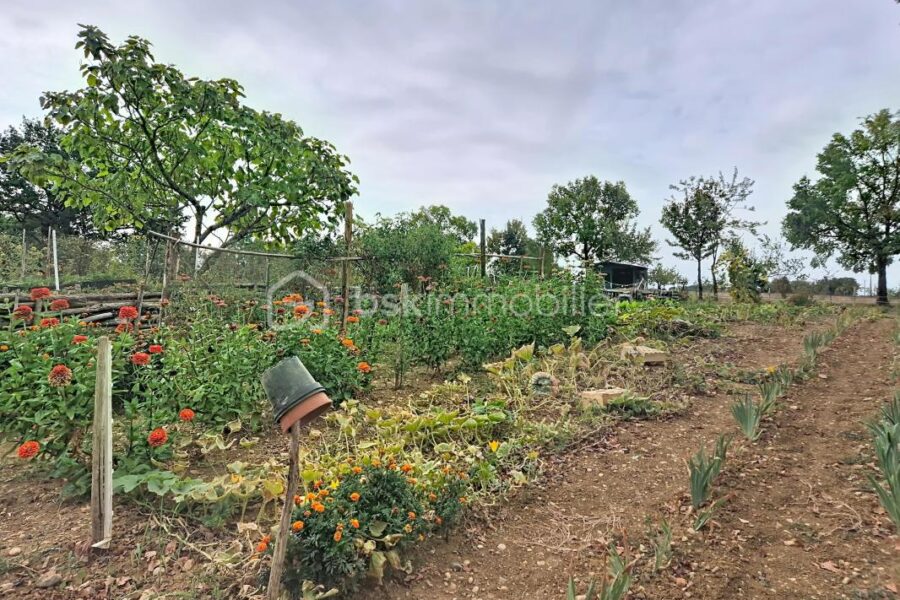Maison à vendre à Lavit — Vue nature — photo 5