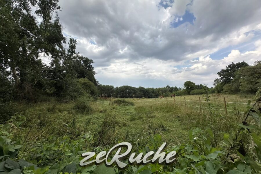 Maison à vendre à Cahagnes — Vue nature — photo 47